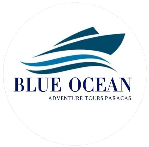 Blue Ocean Logo